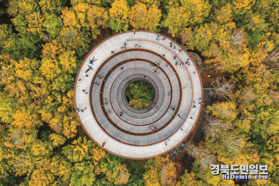대구 신세계百, 내달 15일까지 내셔널지오그래픽 특별전