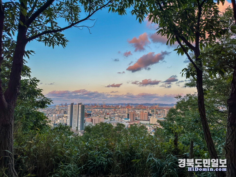 5월의 포항은 왕의 밥상처럼 푸짐하다