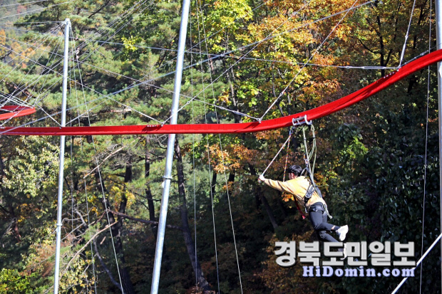 설 연휴, 경북 휴양림에서의 하루가 1년을 바꿉니다!