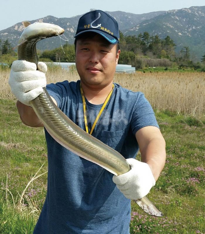 낚시춘추, 장어낚시의 새바람 - 참붕어, 장어 미끼로 뜬다   지렁이보다 입질 빨라, 알 밴 참붕어가 최고