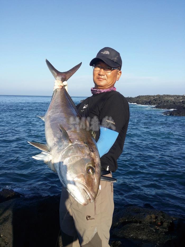 낚시춘추, 대어 조행기-제주 모슬포 큰산물 포인트에서 광어 새끼로 125cm 잿방어 히트