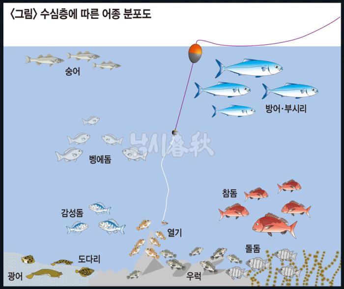 낚시춘추, 테크닉 초보자코너-반유동낚시 수심 맞추는 법