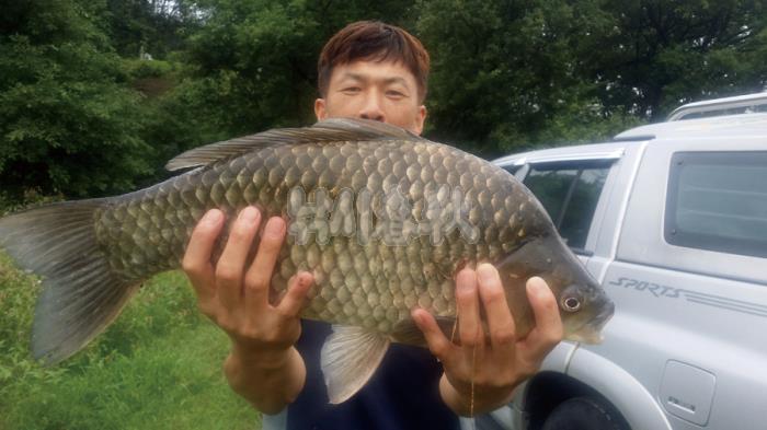  낚시춘추, 대어-김천 광덕지에서 54cm 붕어