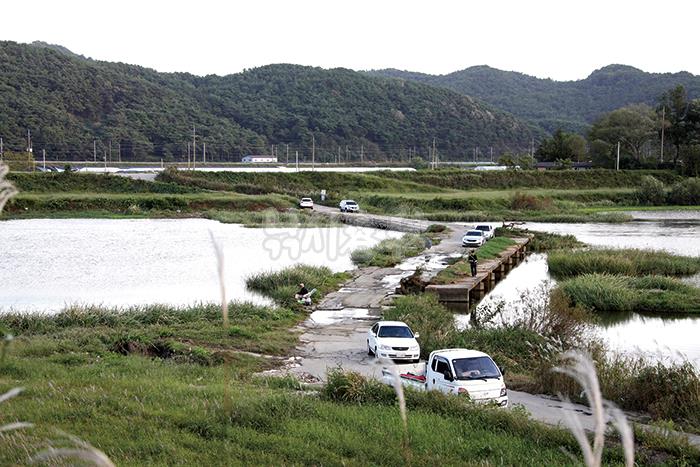 전남 광주 황룡강_풍월가든 앞에선 허리급이 턱걸이라고?