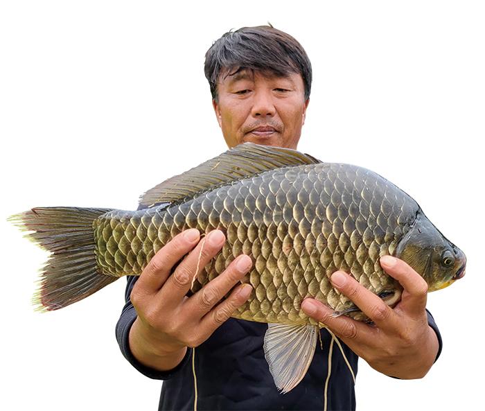 [대어] 창녕 희야지에서 54.8cm 붕어