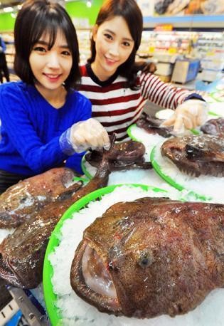 못 생겨도 맛은 좋아…찜ㆍ매운탕 재료 애용