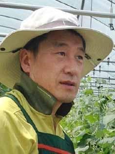 신호등