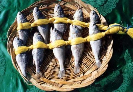 사흘 조기 잡아 1년 먹고살았다는 칠산어장… 오! 그 굴비 맛
