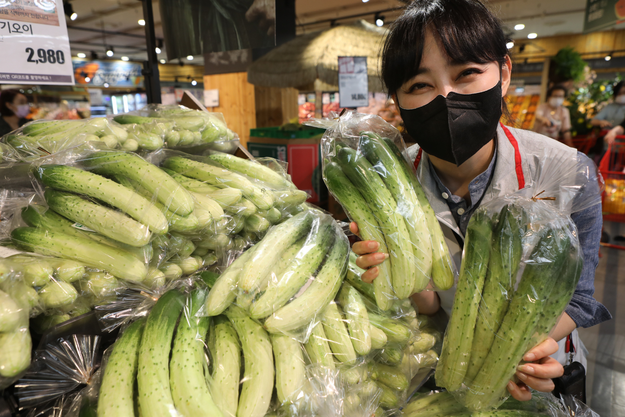 제철 맞은 다다기오이, 롯데마트에서 만나보세요