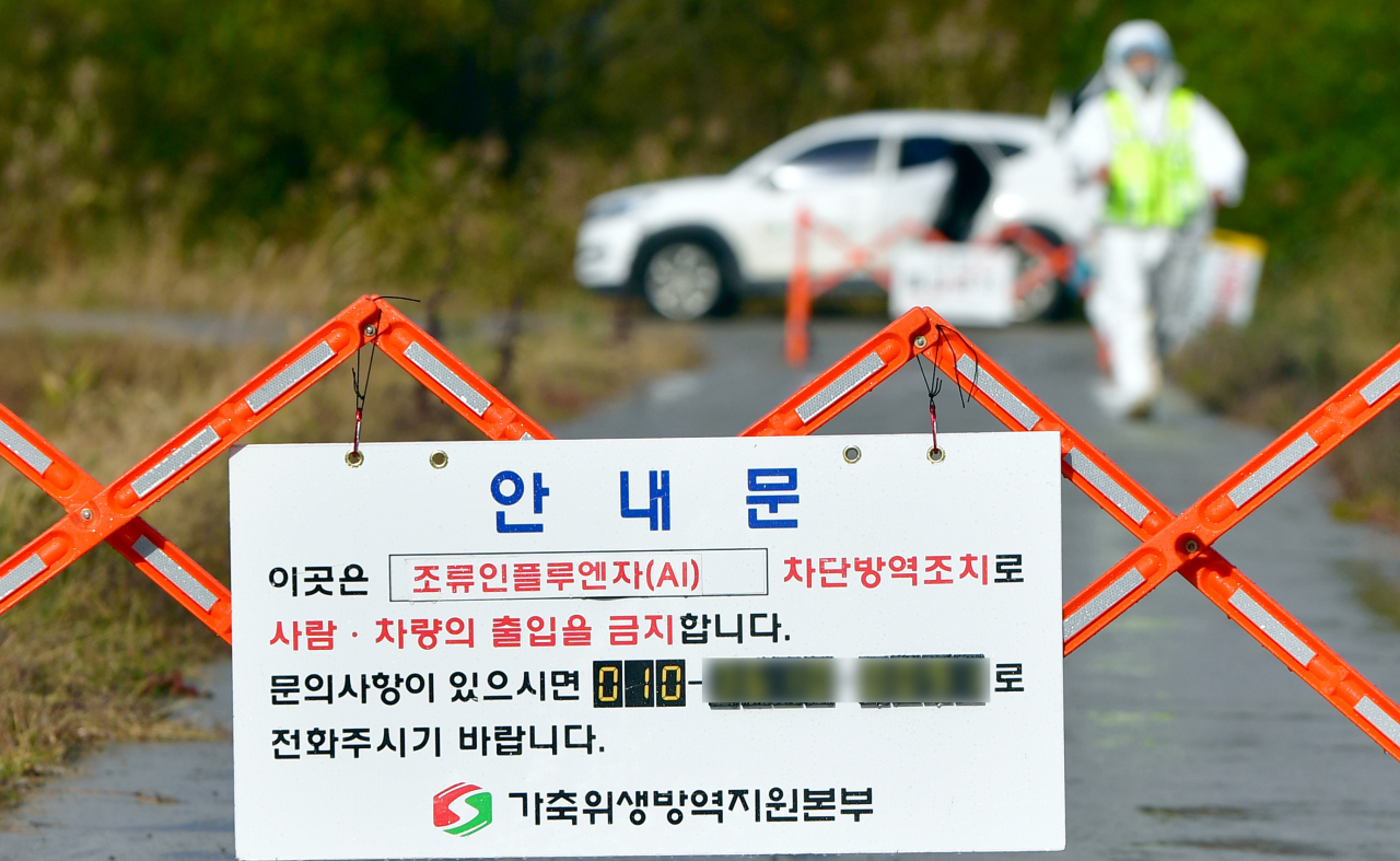 영암 오리농장서 고병원성 AI 항원 검출…도내 7번째