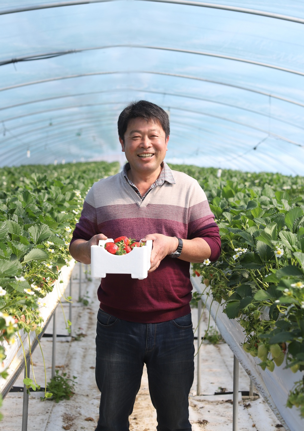 김석민(51·창평농협 감사) (457/1000)
