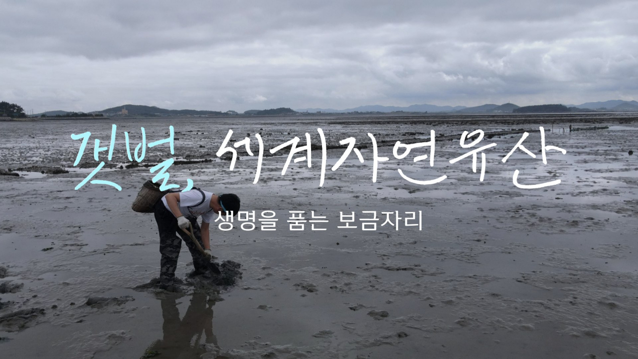 갯벌, 세계자연유산 생명을 품는 보금자리