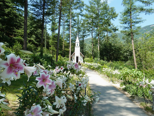 아침고요수목원 ‘비밀이 화원을 찾아라 이벤트’ 실시