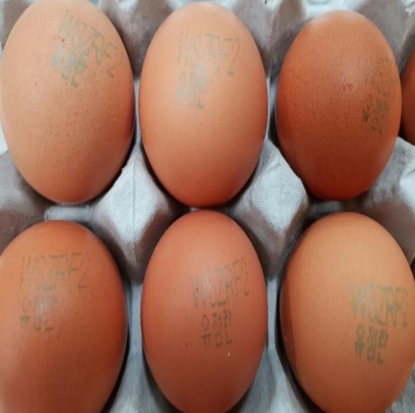 제주 생산 달걀에서 인체에 해로운 동물용 항생제 검출, 긴급회수