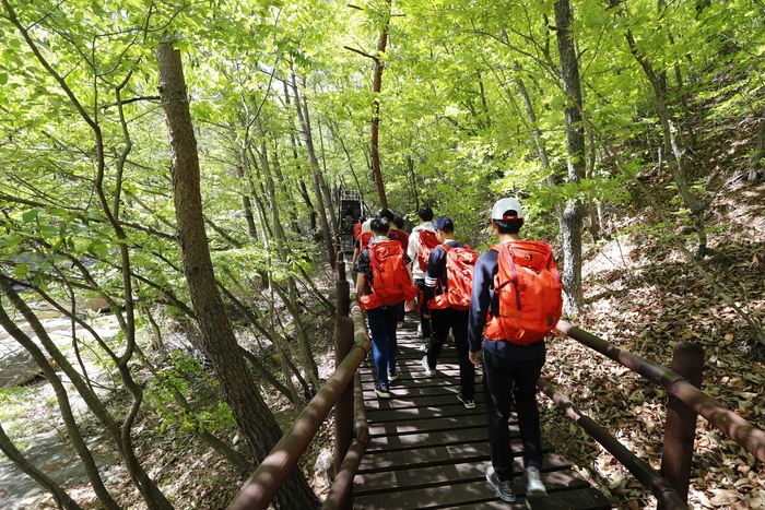 [여기어때]자연의 청량함 가득한 산청 대원사 계곡길