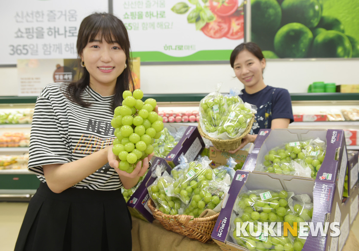 농협유통 하나로마트, 망고 포도라 불리는 ‘샤인머스캣’ 첫 선