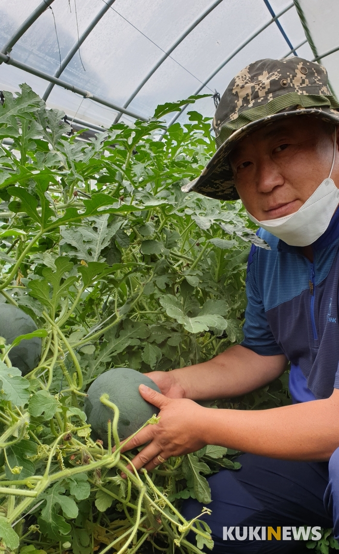 [농업이 미래다] (4) 대전영농조합법인 한밭뜰, 농산물 꾸러미 배송