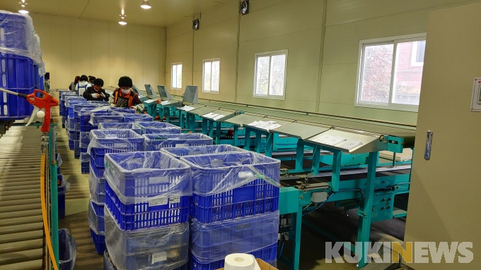 보은군, 당도 높고 아삭한 ‘엔비사과’ 전격 출하