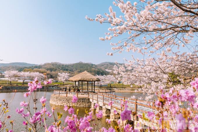 ‘당진 면천 레트로거리’로 떠나는 봄나들이