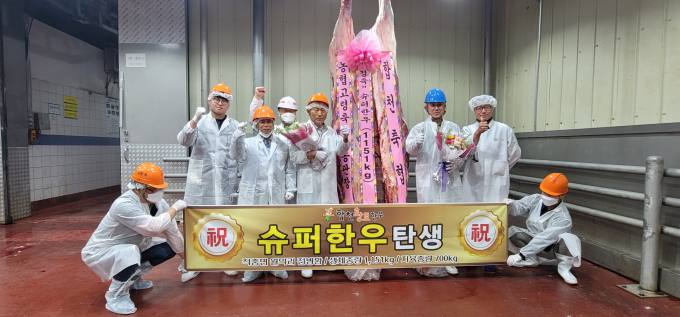 합천군, 슈퍼한우 이틀간 연이어 두 마리 탄생 [합천소식]