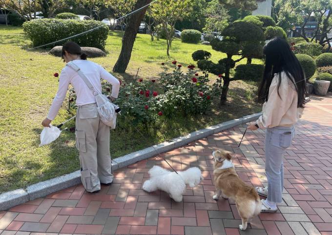 영진전문대 동물보건과 학생들 “펫깅을 아시나요?”