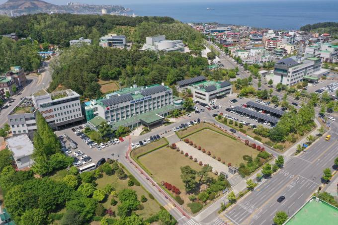 동해시, 하반기 직접일자리사업 참여자 모집