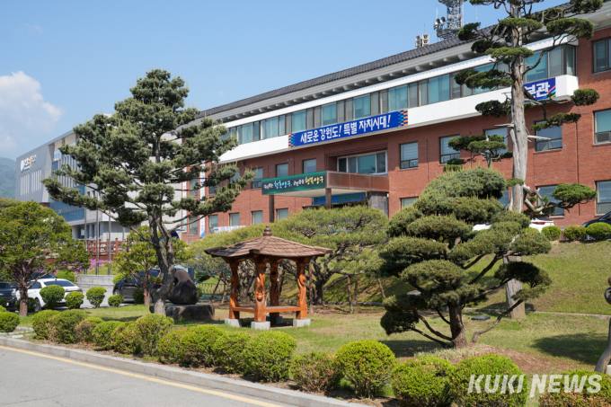양구군, 시가지 가로수 수종 교체… 단계별 확대