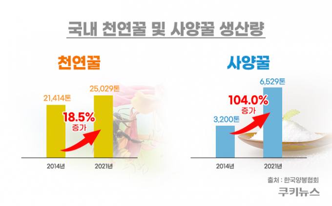 “사양꿀 구매하셨나요? 자연을 학대하셨습니다” [꿀벌을 찾아서②]