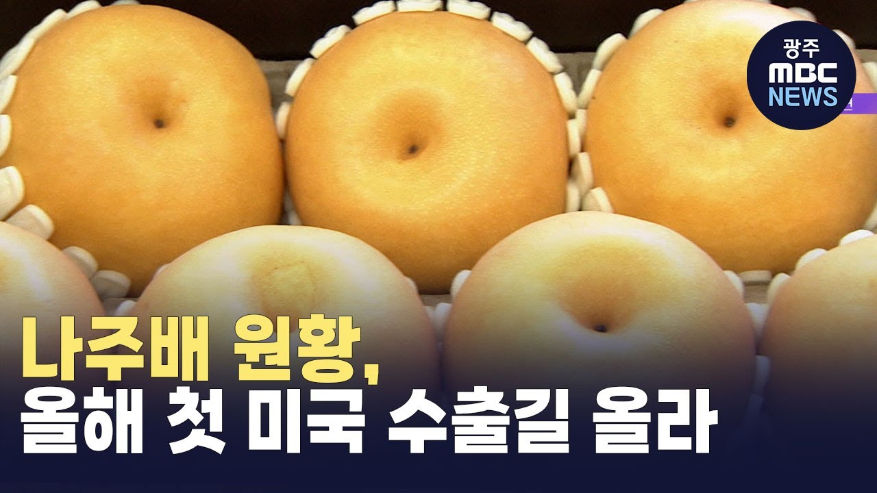 나주배 원황, 올해 첫 미국 수출길 올라