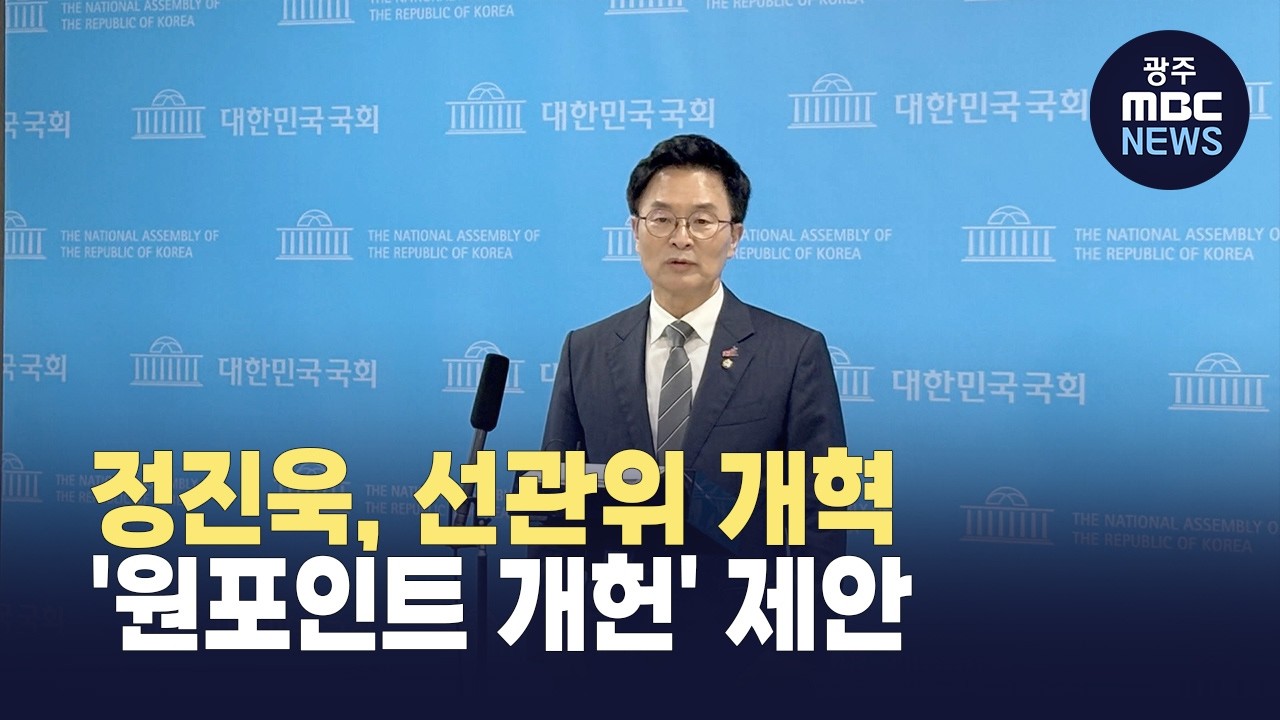 정진욱, 선관위 개혁 '원포인트 개헌' 제안