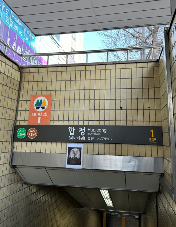 지하철 내 비둘기 쫓으려고 합정역에 떡하니 붙은 독수리 사진은 과연 효과 있을까? 전문가 분석을 들으니 다소(?) 허망하다