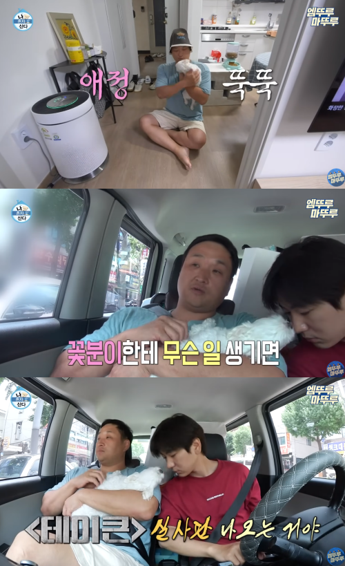 '나혼산' 출연 후 인기+화제성 제대로 잡은 구성환: 반려견 꽃분이 유튜브 구독자 수가 심상치 않게 늘어나고 있고 '사람 일 아무도 모른다'는 말이... 