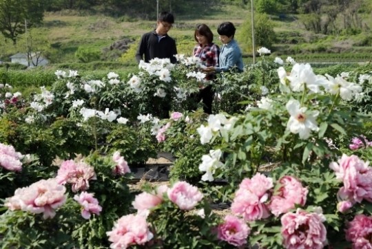 화훼산업1번지 강진군, 꽃날개 달고 비상