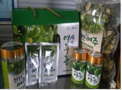 신안군, 건강채소 여주 특화작목 육성
