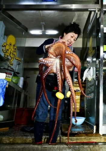 동쪽바다중앙시장 명품 브랜드 꽃발문어에 대통령표창
