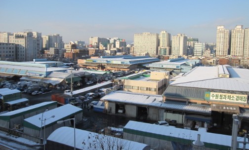 수원시농수산물도매시장 설 명절 주차장 무료개방