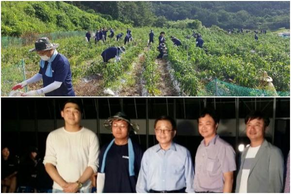 경주대학교 학생회, 구미 장천 오로정승마을 농촌일손돕기 나서