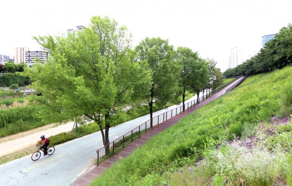구로구, 도림천역 일대 산책로 250m 신설