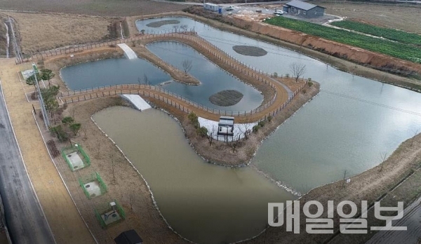 당진시, 자연정화 생태습지 석우천 탈바꿈