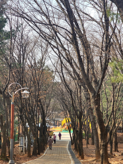 부천시, 녹색 공원 품어 …놀이·안전·건강 다(多) 잡았다
