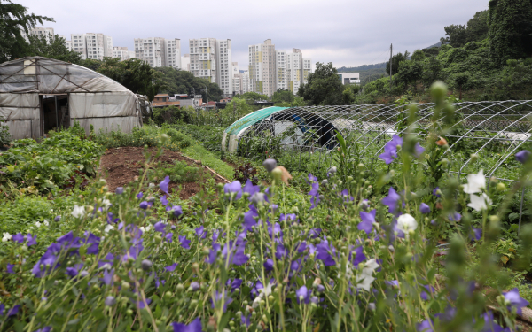 그린벨트 해제… ESG 추세 역행 vs 지역균형개발