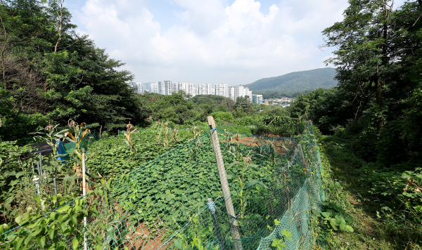 서울시, 그린벨트 토지거래 집중 조사 시행