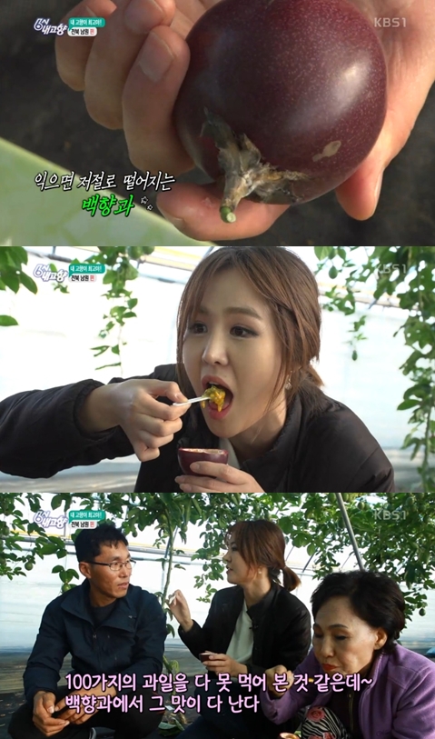 6시 내고향 윤수현, 상큼한 백향과 맛에 100가지 맛이 나네