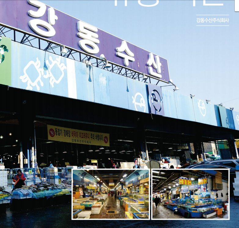 유통 혁신, 투명 세정 으로 가락시장의 미래를 선도! 강동수산 도매법인 홍중표 대표이사 회장