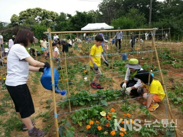 강남서초교육지원청, 마을결합형학교와 마을연계 인성교육사업 추진