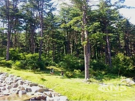 경기도 산림환경연구소, 가평군 초등학생 생태교육 프로그램 진행