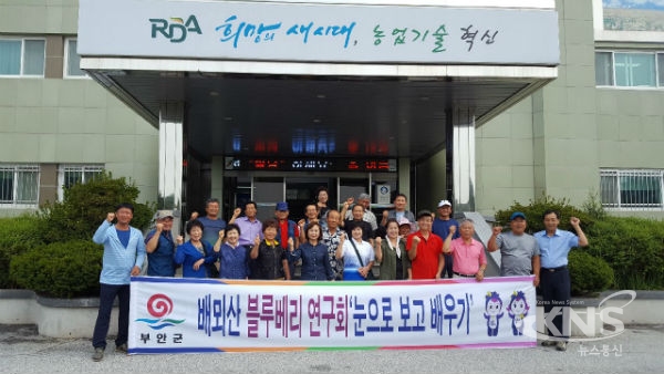 부안 주산면 배뫼산 블루베리연구회 선진지 견학 실시