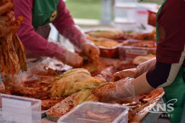 강경젓갈축제, 젓갈김치 담그기 인기 절정