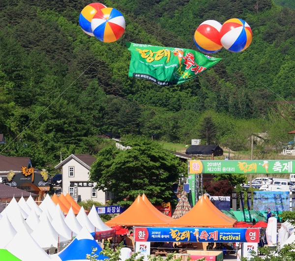 황태와 자연의 조화로운 풍미, 용대리 황태 축제