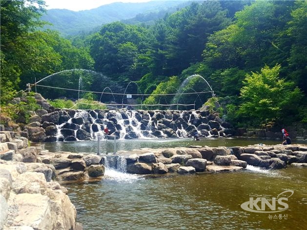 여름 휴가철, 축령산자연휴양림서 물놀이 즐겨보자!